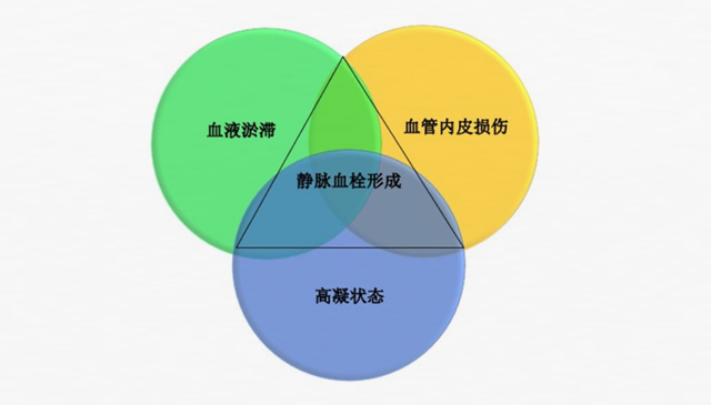 沉默殺手 VTE，如何進(jìn)行抗凝治療？三問搞懂