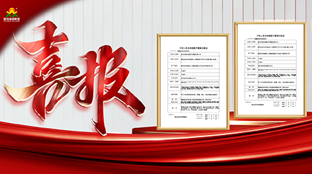 重磅捷報(bào)！雙證落地！新希望醫(yī)療深耕VTE防治，康復(fù)領(lǐng)域再添硬核利器