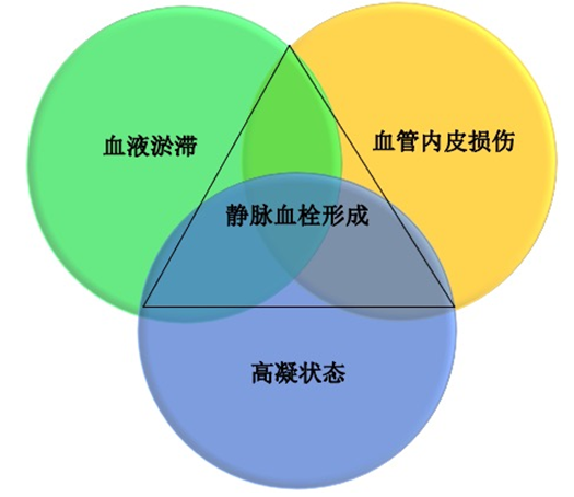 沉默殺手 VTE，如何進(jìn)行抗凝治療？三問(wèn)搞懂