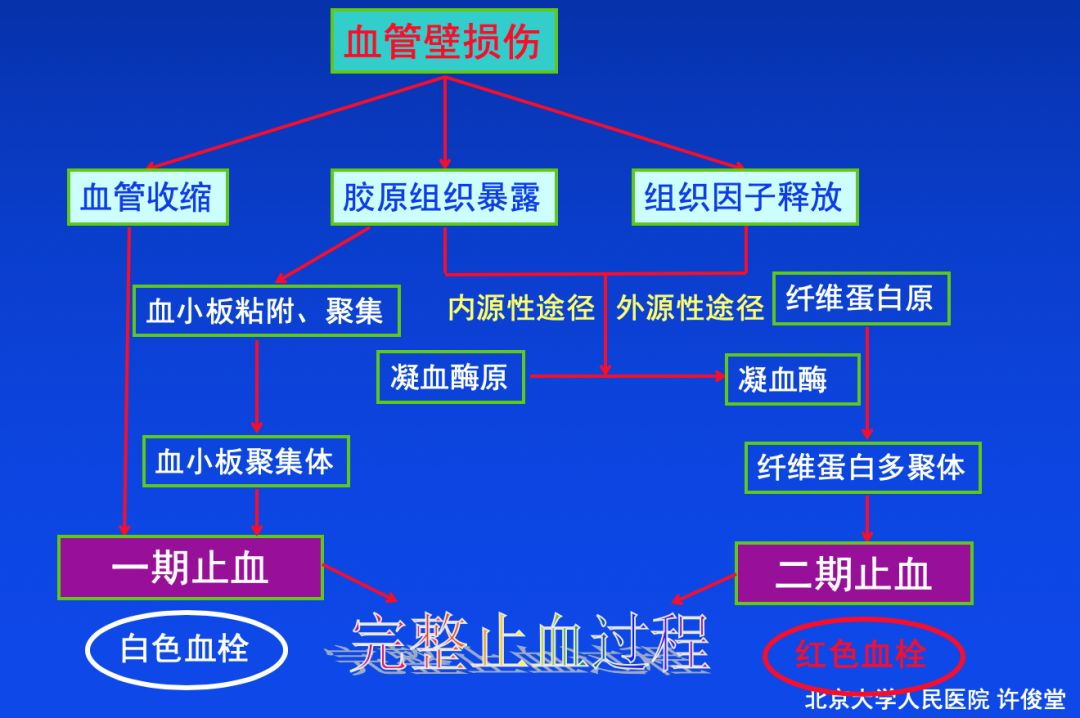 血栓形成，三個(gè)要素細(xì)分說(shuō)